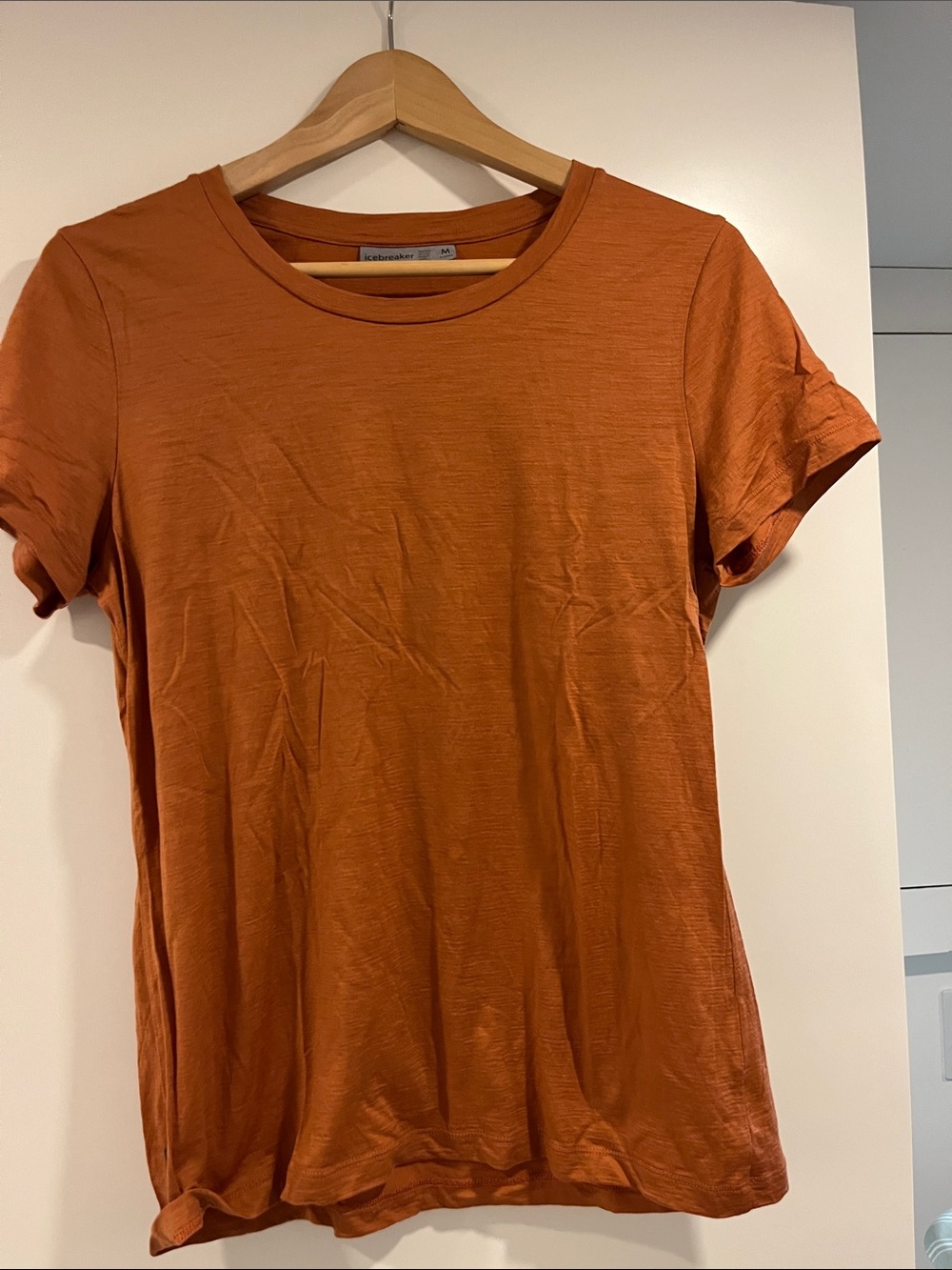 Icebreaker t-shirt in corral